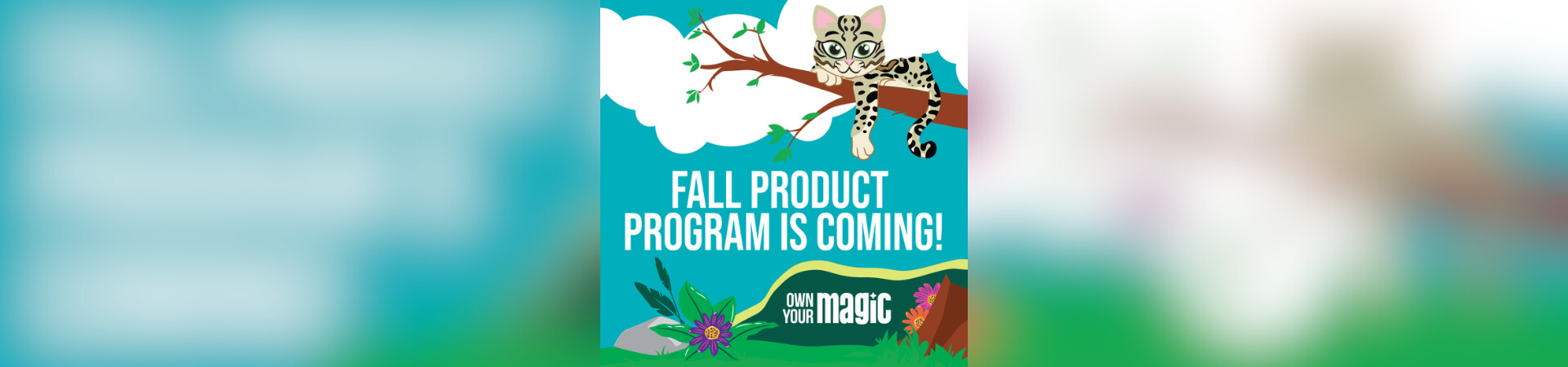 Nuts, Candy, and Magazines