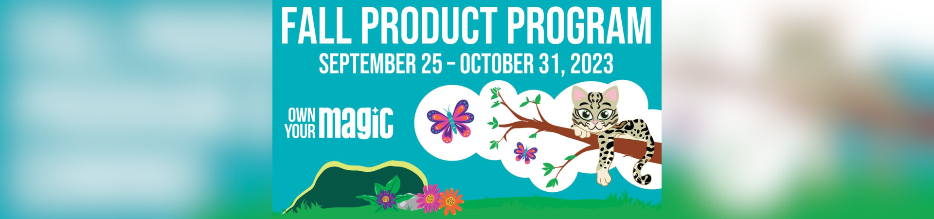 Nuts, Candy, and Magazines