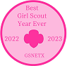 Best Girl Scout Year Ever