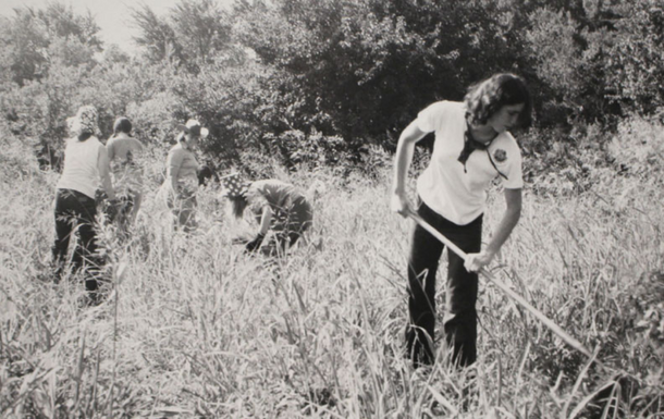 Girl Scouts clearing a trail